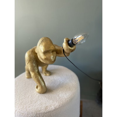 lamp aap 