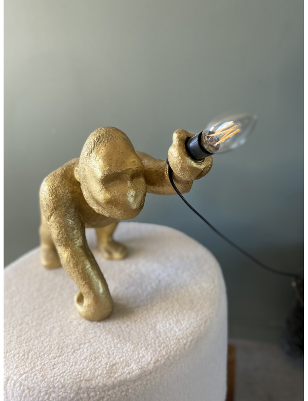 lamp aap 