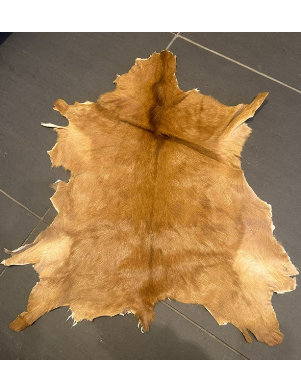geitenhuid licht bruin geitenhuid licht bruin